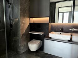 Irwell Hill Residences (D9), Apartment #505410881